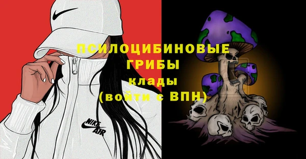 кокс Бородино